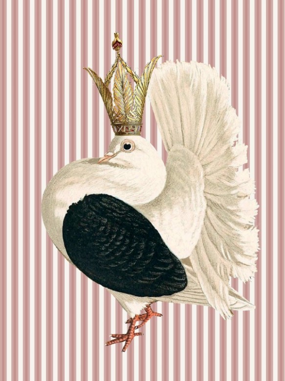 Vanilla Fly Queen Dove Print 30x40cm